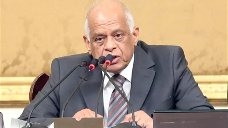 النواب يأذن لوزير المالية بضمان الشركة القابضة للقطن والغزل والنسيج ويحيله لمجلس الدولة