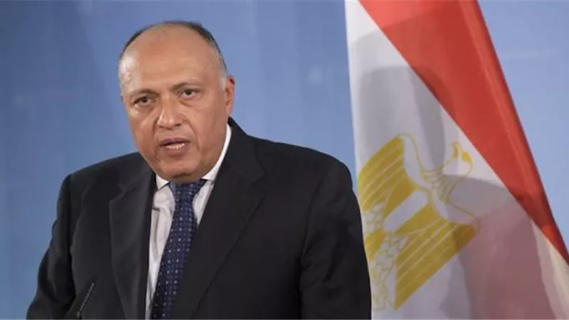 وزير الخارجية يشارك فى الاجتماعات حول سد النهضة
