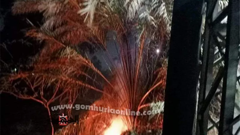 السيطرة علي حريق بأشجار أسفل عمود ضغط عالي بطوخ
