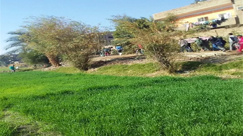 إنتشال جثة مجهولة لأحد الأشخاص بمياه النيل بالتبعية غرب الأقصر