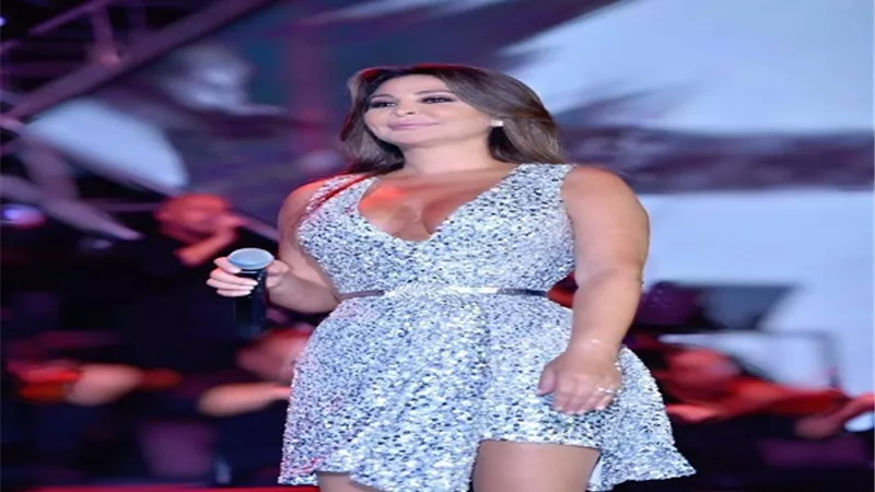 إليسا تطالب الثوار بالضغط على الحكومة لتحقيق مطالبهم