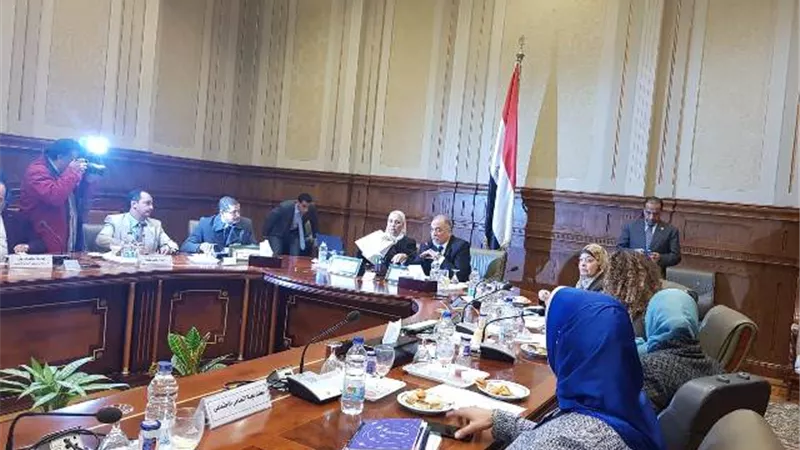 تضامن النواب تناقش استراتيجية عمل الوزارة فى جلسة مطولة بحضور الوزيرة