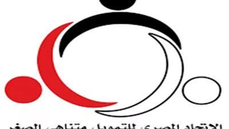 4.4 مليون عملية استعلام ائتماني للاتحاد المصري للتمويل متناهي الصغر خلال 2019
