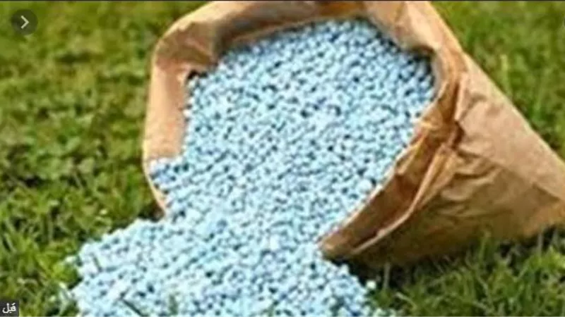 نقيب عام الفلاحين: مصر بها اكتفاء ذاتي من الاسمده و حل مشكلة الاسمده في التحرير