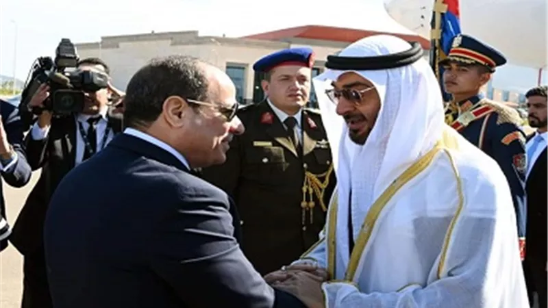 بالصور... 
