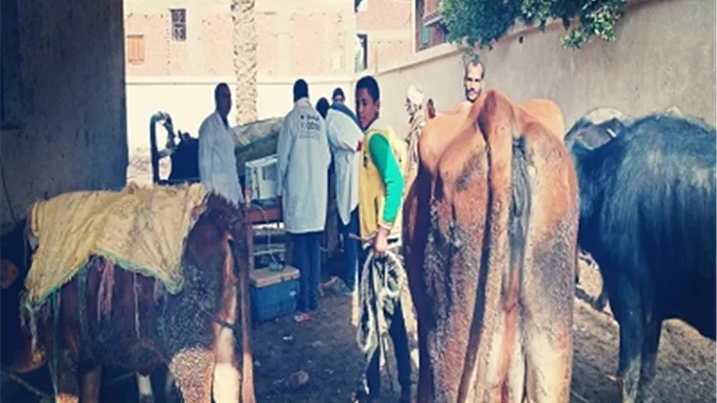 قافلة بيطرية مجانية لخدمة المربين والمزارعين بمحافظة الفيوم