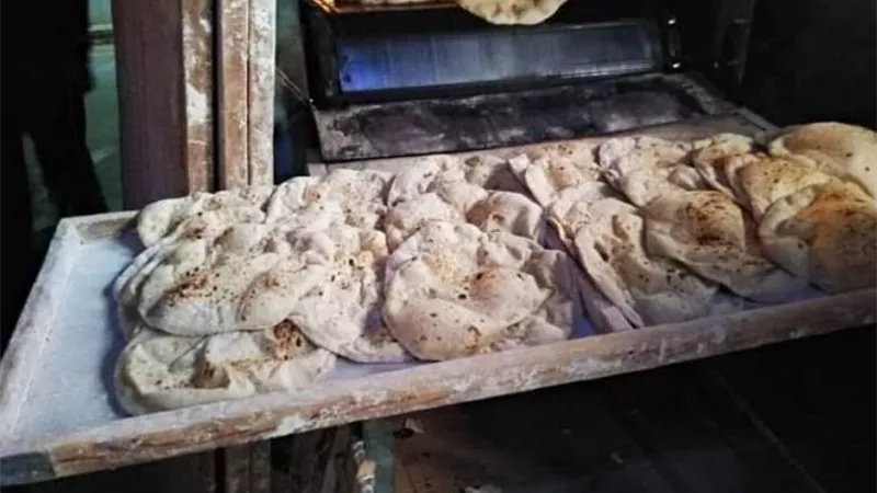 غراب يفاجيء مخابز قرية القطاوية ويراجع وزن الرغيف