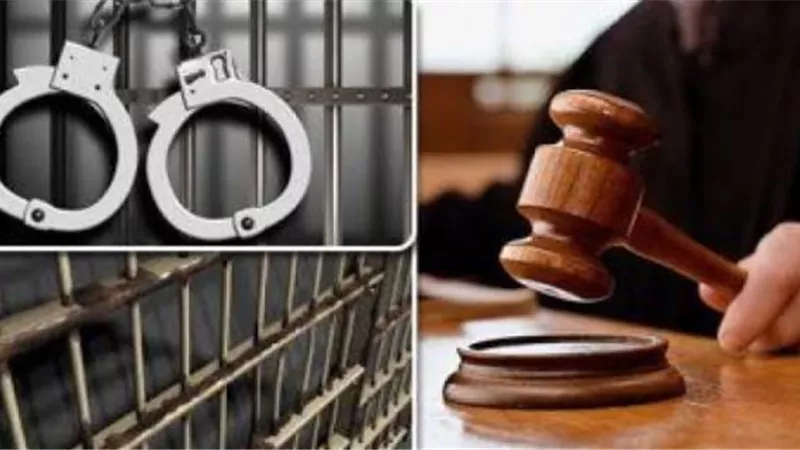 المشدد ١٥ عاما لموظف ومالك شونة وغرامة ١٥٠ مليون جنيه في قضية فساد القمح