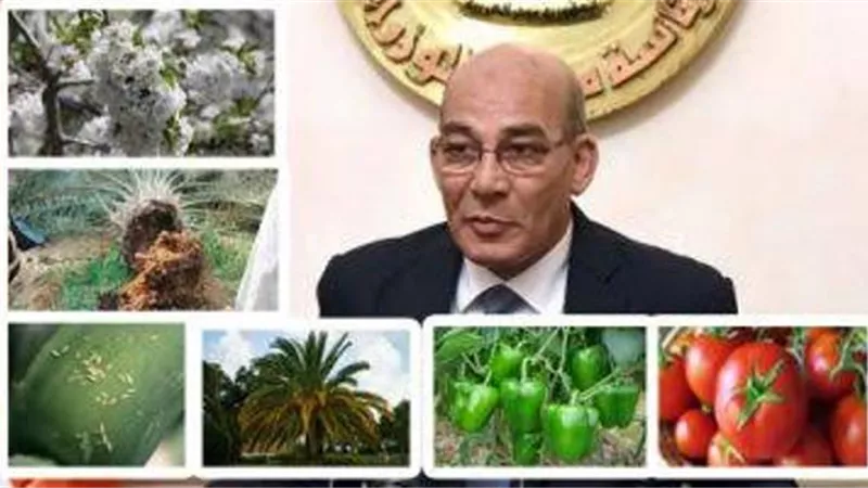 الزراعة تستعرض استراتيجية التنمية المستدامة حول التشجير وزراعة الغابات في مصر