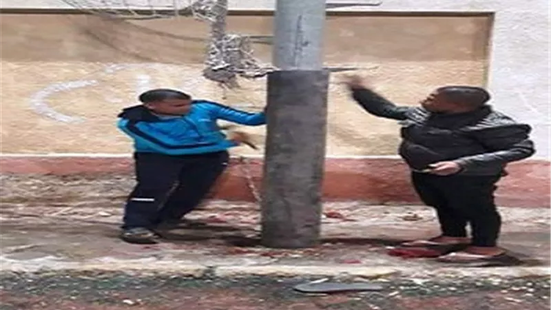 تغطية أعمدة كهرباء الملاعب المنجلة بالشرقية بالبلاستيك