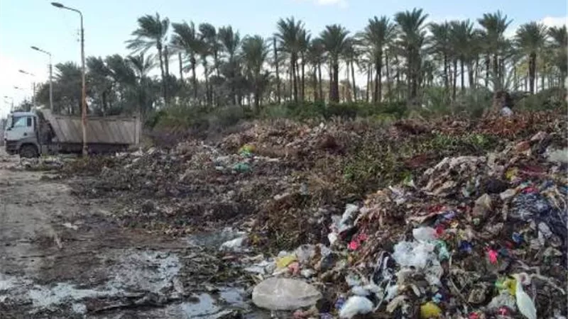 نائب ادكو ..المركز تحول الي مقلب كبير القمامه والسبب محافظ الإقليم والبيئة.. صور