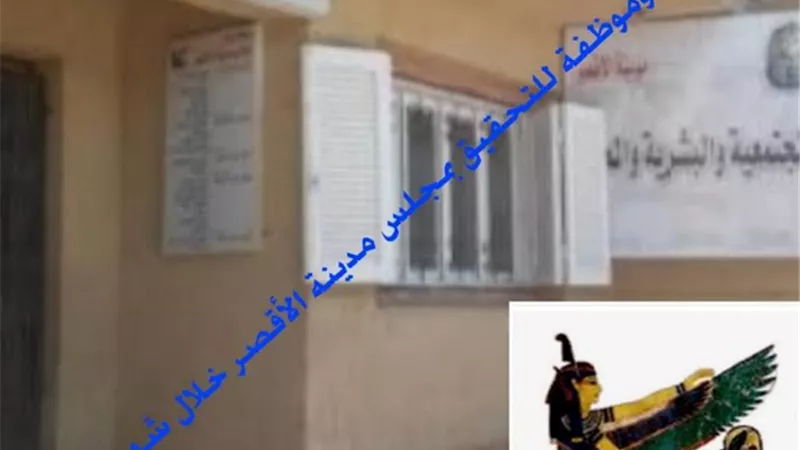 إحالة ٤٥ موظفاً وموظفة بمدينة الأقصر للتحقيق