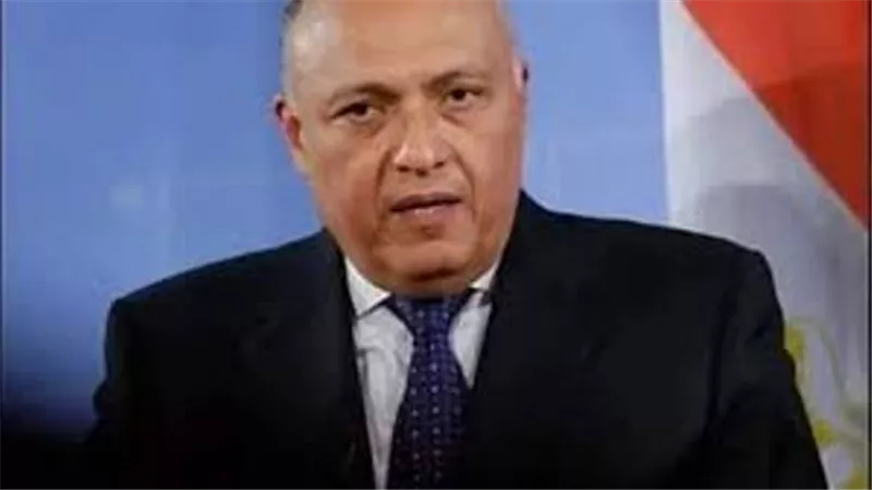 شكري يعود من الجزائر بعد مشاركته في اجتماع دول الجوار الليبي