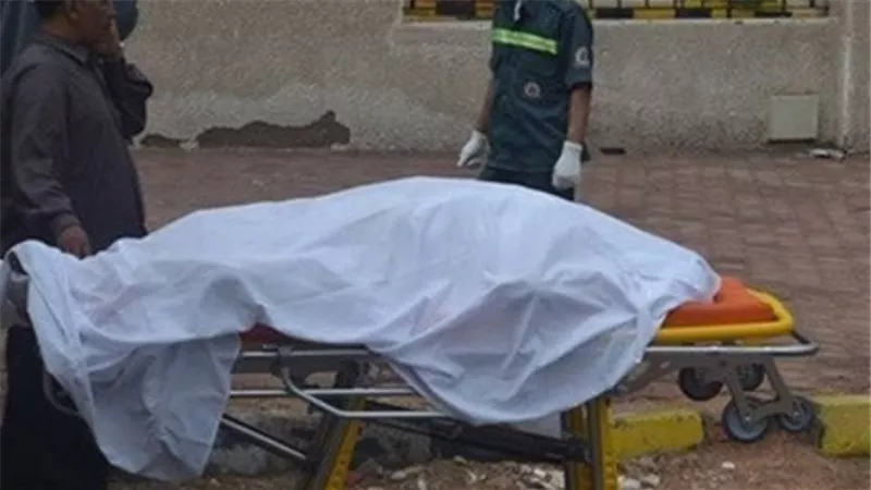 مصرع طالب بسيخ حديد استقر في صدره بسبب حادث تصادم بطوخ