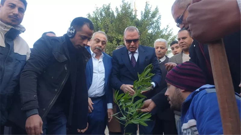محافظ القليوبية يدشن مبادرة التحول إلي الأخضر لزراعة الأشجار بشوارع بنها