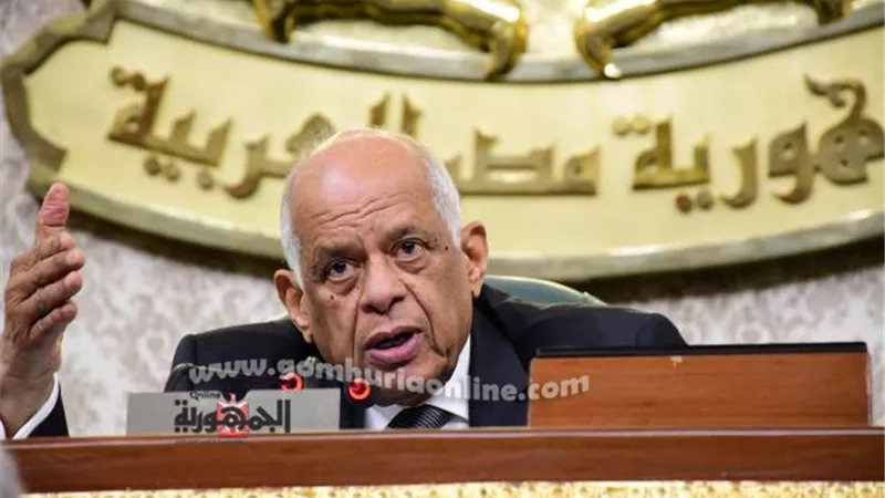 عبدالعال يجدد مطالبه للحكومة بفصل الشهر العقارى عن وزارة العدل