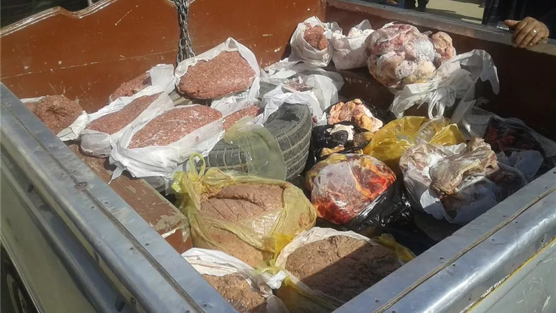ضبط لحوم ومجمدات غير صالحة للاستهلاك الآدمي خلال حملة مفاجئة بأسيوط