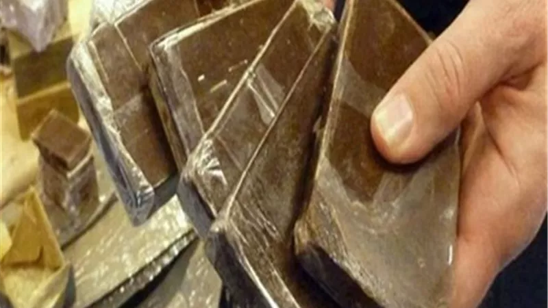 حبس عاطلين سقطوا ب 100 طربة حشيش في البحيرة