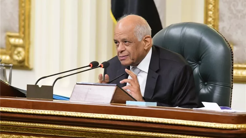 عبدالعال : اخشى ان ينتهى دور الانعقاد ويكون البرلمان هو الغلطان وليس الحكومة
