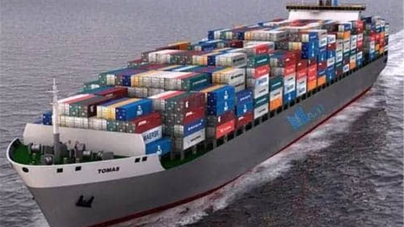 شعفة المستوردين: 27% من واردات مصر صينية