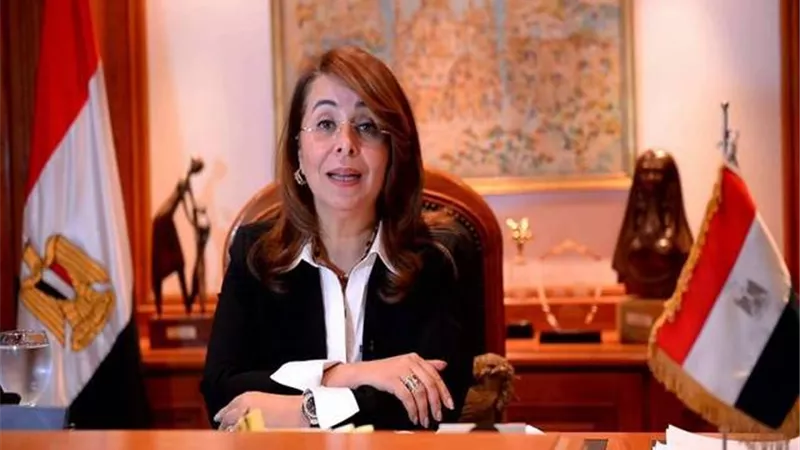 أهم 5 معلومات عن صندوق ذوى الإعاقة