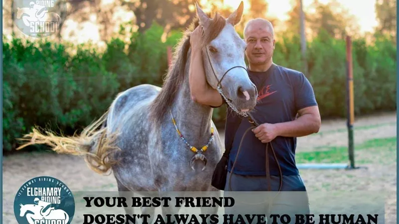 تعلم الفروسية فى اجازة نصف العام