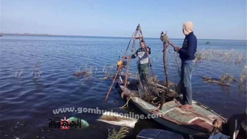 محافظ كفرالشيخ يتابع حملة إزالة التعديات على بحيرة البرلس.. صور