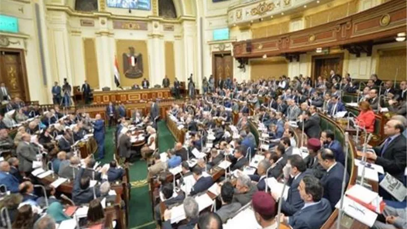 نائب: الثروة الحيوانية في خطر بسبب تزايد الأدوية البيطرية المغشوشة