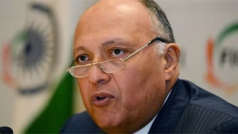 أبرز إنجازات الدبلوماسية المصرية خلال عام 2018 وأهدافها خلال عام 2019