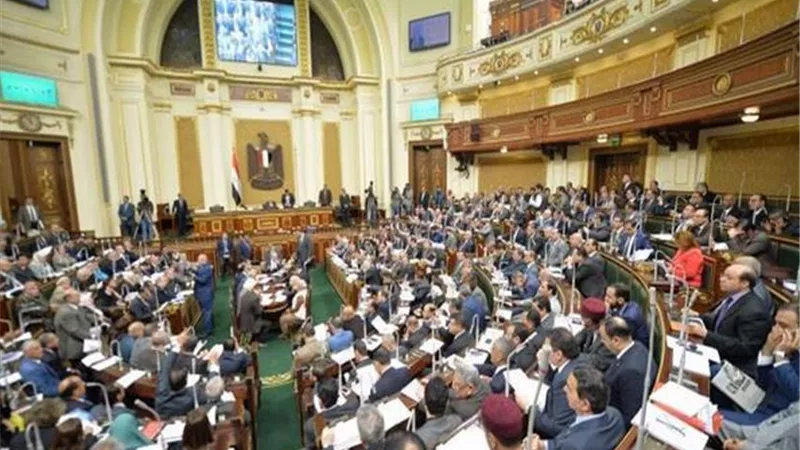 أهم القوانين المنتظرة إقرارها بمجلس الشعب فى عام2019