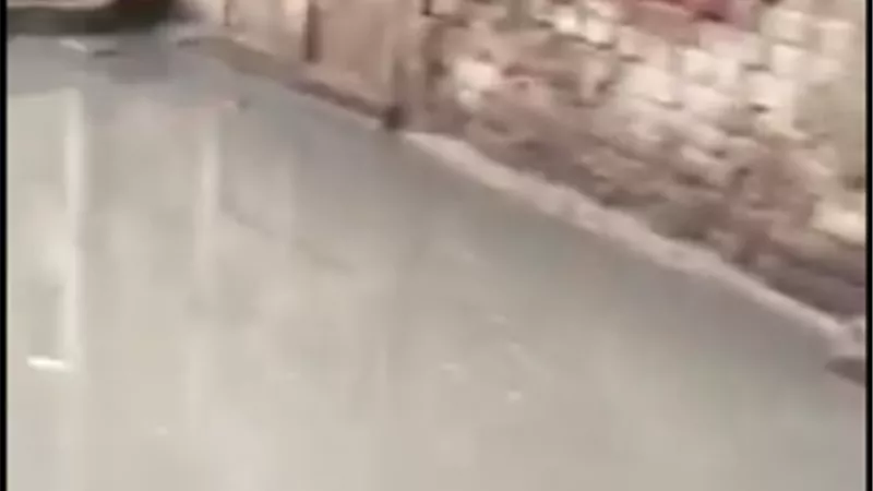عزبة عنتر غرقت في الصرف الصحي بكفرالشيخ البريد الوارد