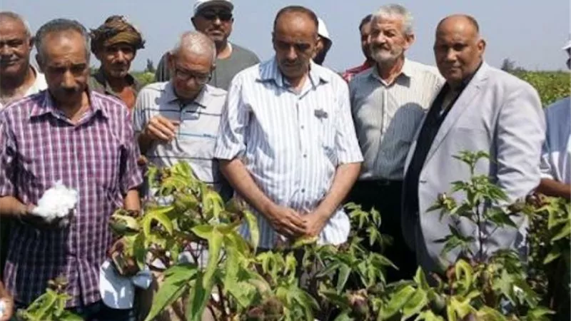 حل مشكلات الرى فى القنطرة شرق بالإسماعيلية