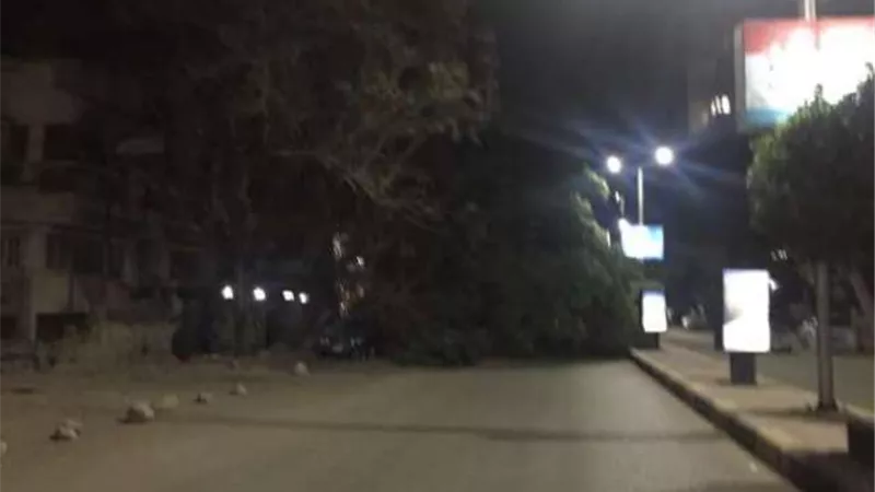 سقوط شجرة في الدقى بسبب الطقس السيئ