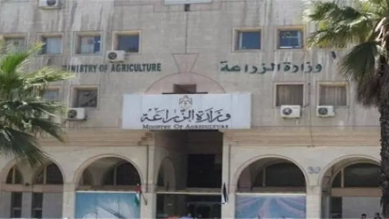 الزراعة تواصل مكافحة سوسة النخيل لحماية 20 مليون نخلة