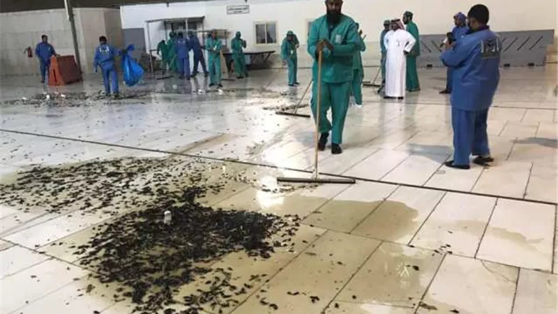 إمارة مكة: فرق متخصصة للعمل فى المكافحة للقضاء على 