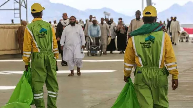 السعودية توضح حقيقة انتشار الحشرات بالحرم المكى