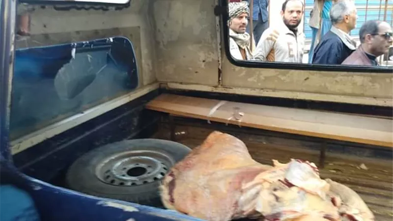 مصادرة اللحوم الفاسدة بشنبارة بمركز الزقازيق