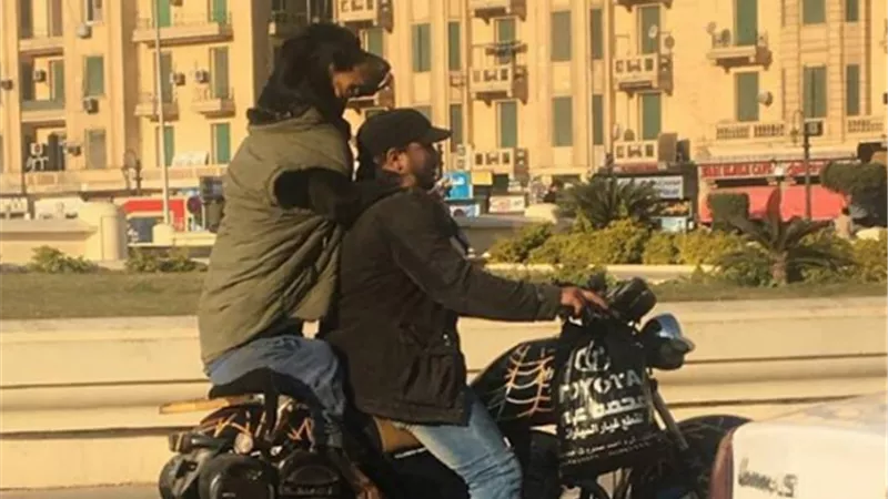 أراد أن يحمى كلبه من البرد القارس.. فماذا فعل