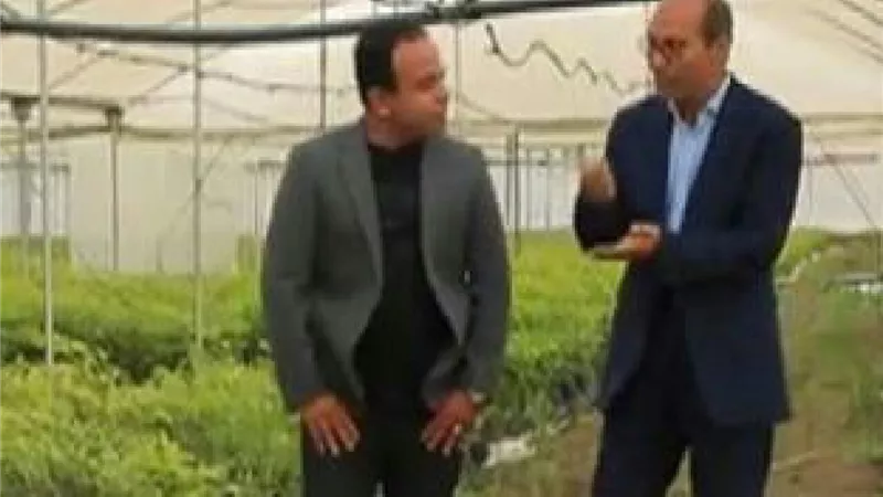 لأول مرة.. مشتل مصري يزرع مليون شجرة أخشاب الماهوجني فيديو