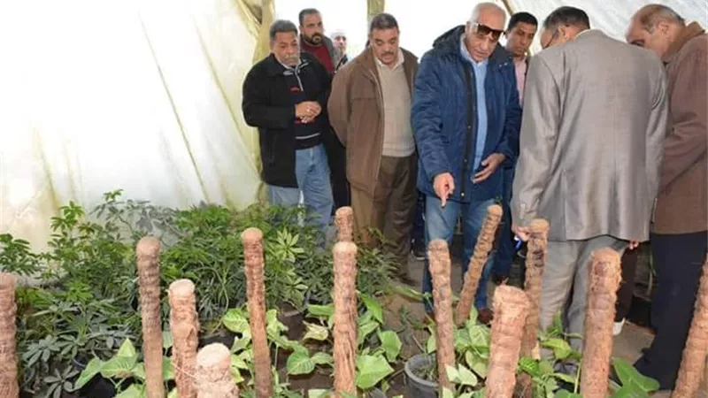 محافظ الجيزة : تحويل 43 مشتل للزهور والنباتات لوحدات انتاجية