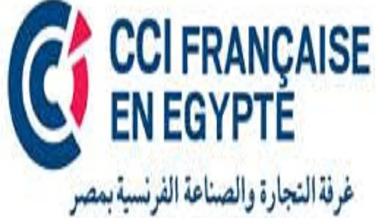 استضافة مصر لكأس الأمم الأفريقية دليل علي مكانتها الدولية