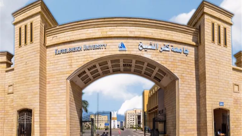 انشاء اول كلية للذكاء الاصطناعي في مصر