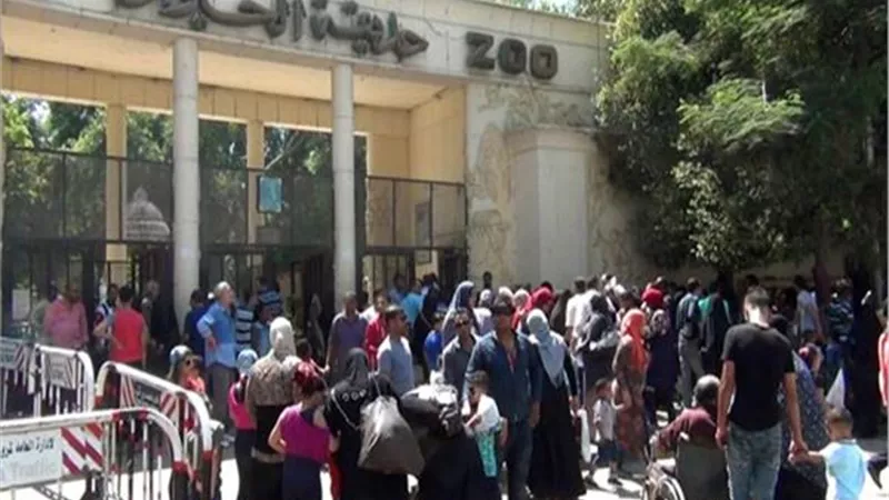 حديقة الحيوان تستعد لاستقبال المواطنين خلال إجازة نصف العام