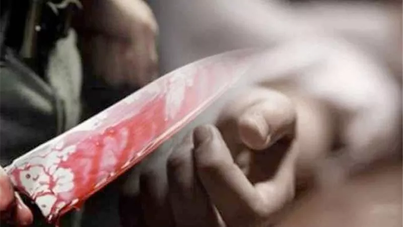 17 طعنة نافذة في جسد سيدة بسبب التمثيل