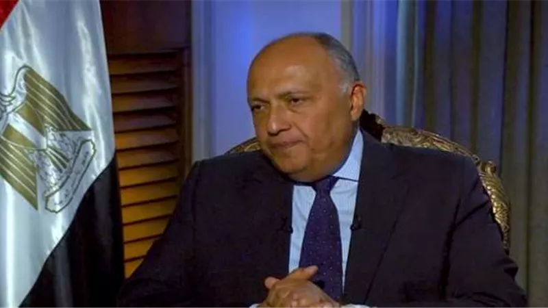 شكري يلتقي الممثلة العليا للأمم المتحدة لشئون نزع السلاح