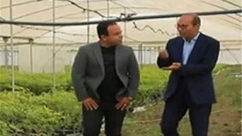 النهر الأخضر أمل مصر في زراعة أشجار الماهوجني عالية القيمة.. فيديو