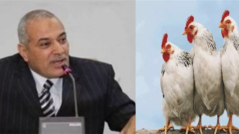 شعبة الدواجن تحذّر من كارثة وبائية تسببها الرياح والعواصف