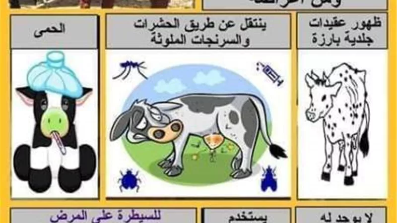 انطلاق الحملة القومية للتحصين ضد الجلد العقدي في الإسماعيلية