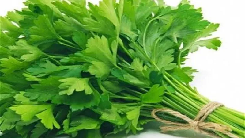 (الكرفس) الحل السحرى للتخلص من سموم الجسم ونقاء البشرة