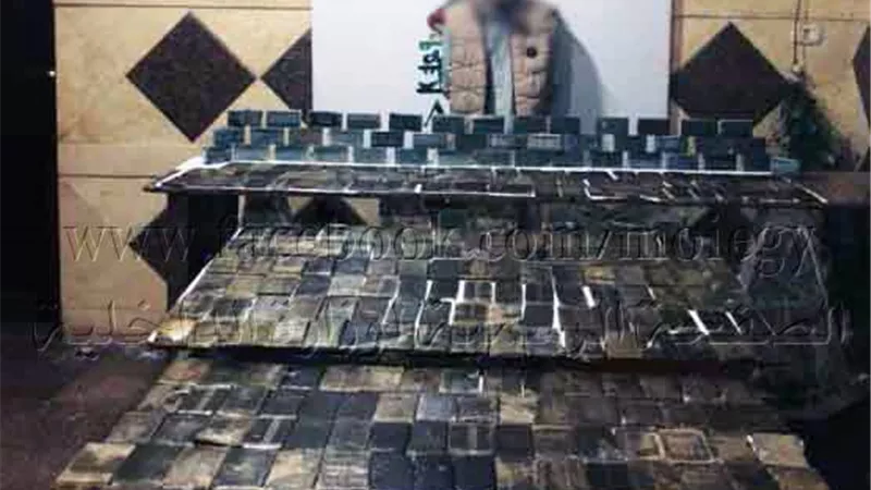 ضبط عاطل وبحوزته 300 طربة حشيش